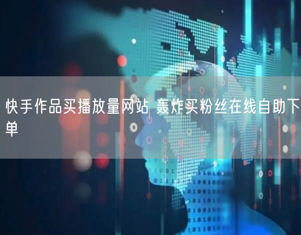 快手作品买播放量网站 轰炸买粉丝在线自助下单