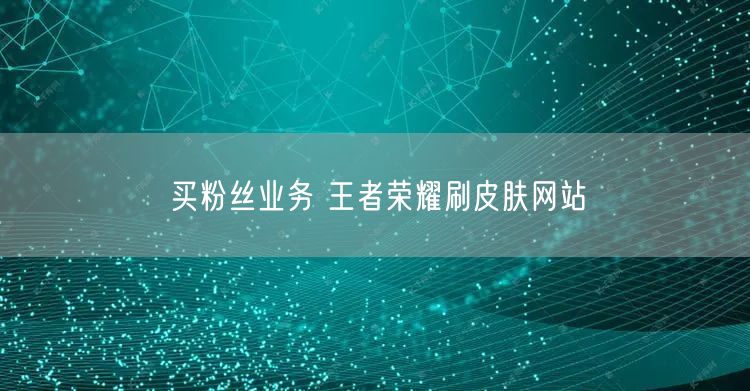 买粉丝业务 王者荣耀刷皮肤网站