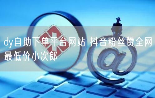 dy自助下单平台网站 抖音粉丝赞全网最低价小次郎