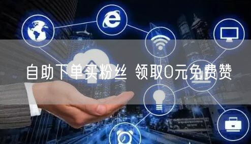 自助下单买粉丝 领取0元免费赞