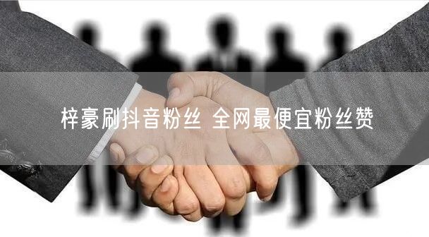 梓豪刷抖音粉丝 全网最便宜粉丝赞