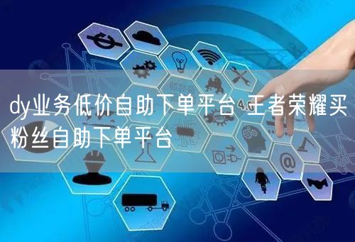 dy业务低价自助下单平台 王者荣耀买粉丝自助下单平台