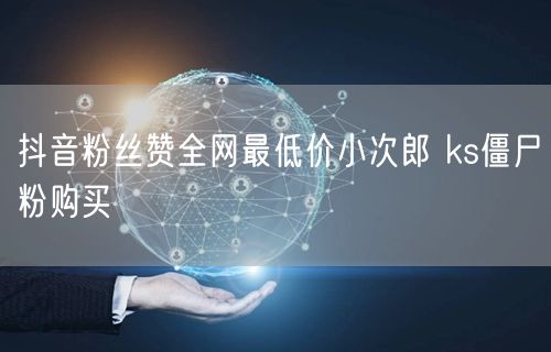 抖音粉丝赞全网最低价小次郎 ks僵尸粉购买