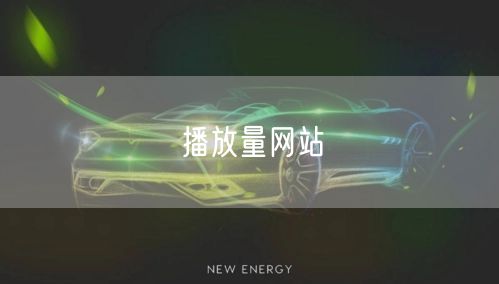 播放量网站