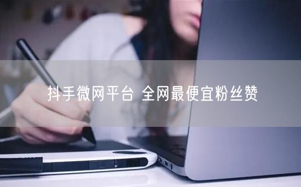 抖手微网平台 全网最便宜粉丝赞