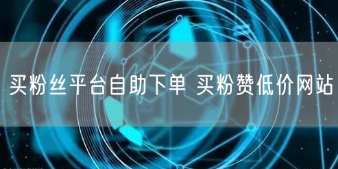 买粉丝平台自助下单 买粉赞低价网站