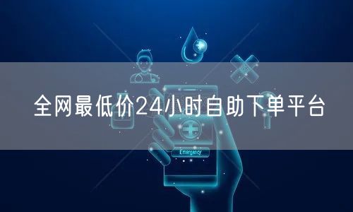 全网最低价24小时自助下单平台