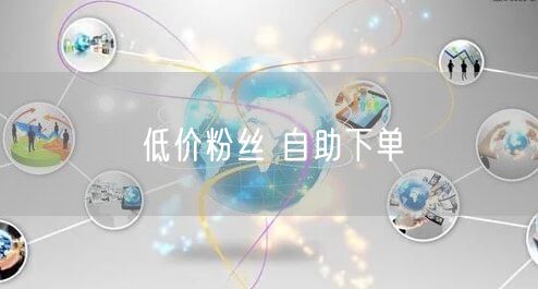 低价粉丝 自助下单