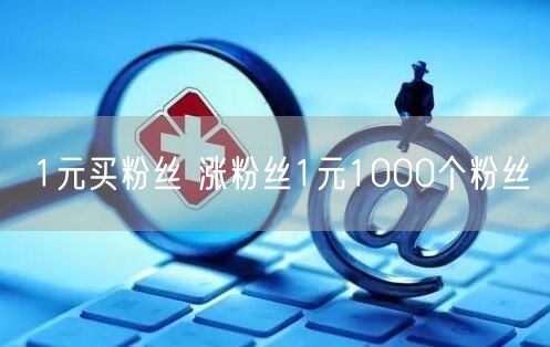 1元买粉丝 涨粉丝1元1000个粉丝