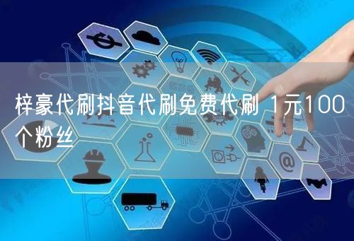 梓豪代刷抖音代刷免费代刷 1元100个粉丝