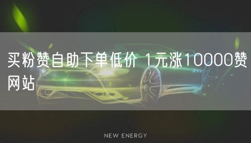 买粉赞自助下单低价 1元涨10000赞网站