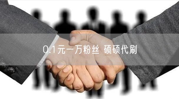 0.1元一万粉丝 硕硕代刷