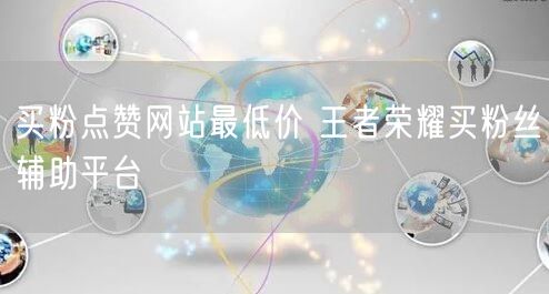 买粉点赞网站最低价 王者荣耀买粉丝辅助平台