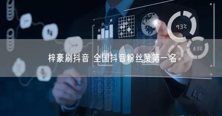 梓豪刷抖音 全国抖音粉丝赞第一名