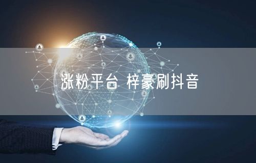 涨粉平台 梓豪刷抖音