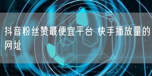 抖音粉丝赞最便宜平台 快手播放量的网址