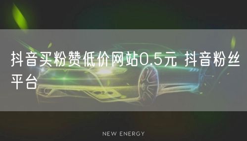抖音买粉赞低价网站0.5元 抖音粉丝平台