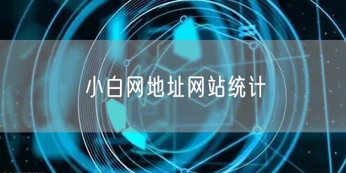 小白网地址网站统计