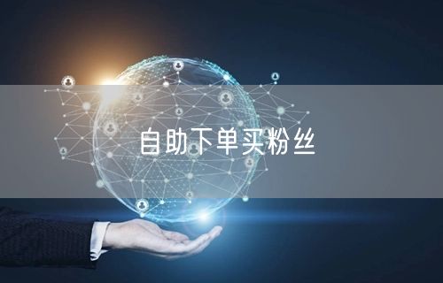 自助下单买粉丝