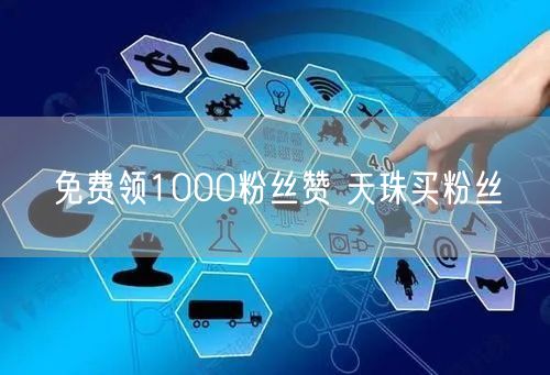 免费领1000粉丝赞 天珠买粉丝