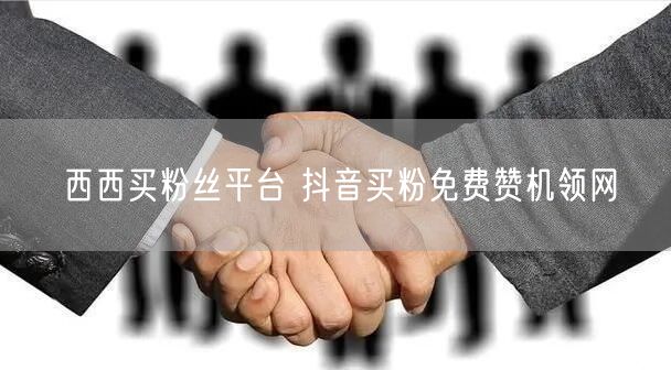 西西买粉丝平台 抖音买粉免费赞机领网