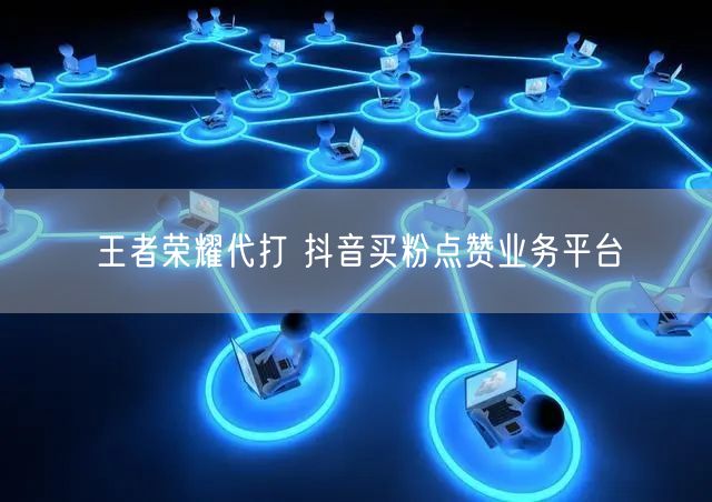 王者荣耀代打 抖音买粉点赞业务平台