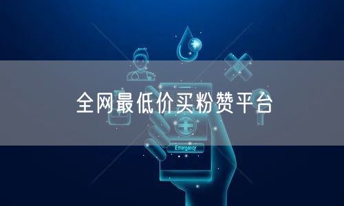 全网最低价买粉赞平台