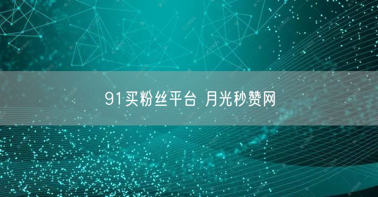 91买粉丝平台 月光秒赞网