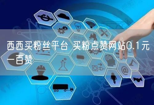 西西买粉丝平台 买粉点赞网站0.1元一百赞