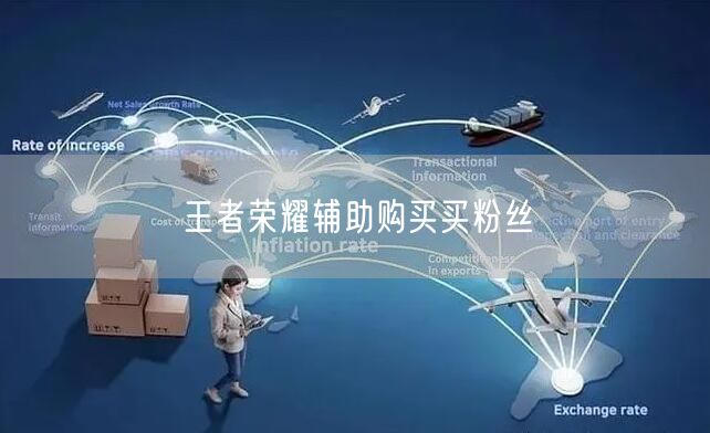 王者荣耀辅助购买买粉丝