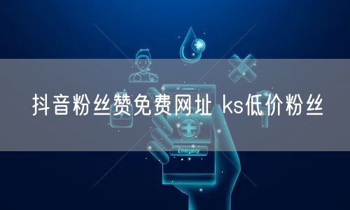 抖音粉丝赞免费网址 ks低价粉丝