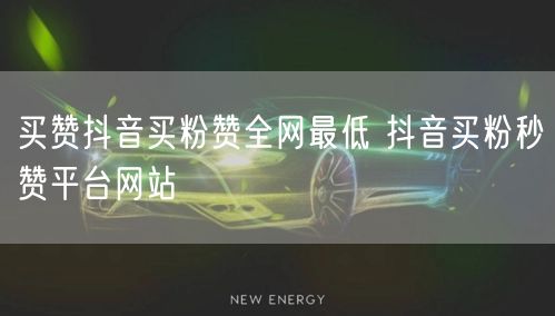 买赞抖音买粉赞全网最低 抖音买粉秒赞平台网站