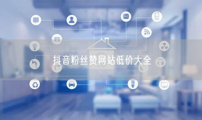抖音粉丝赞网站低价大全