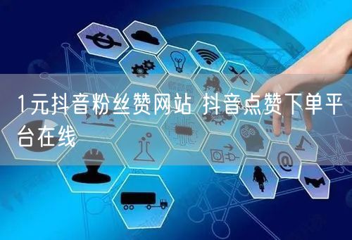 1元抖音粉丝赞网站 抖音点赞下单平台在线