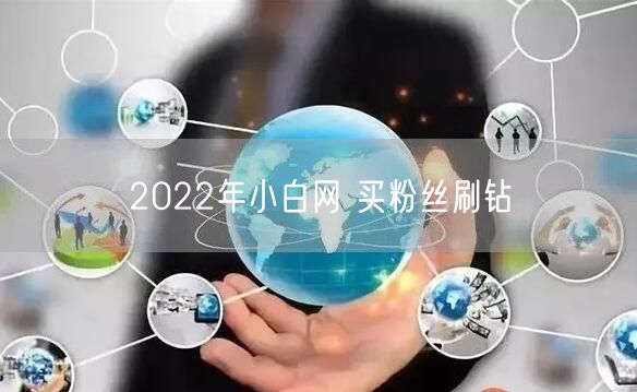 2022年小白网 买粉丝刷钻