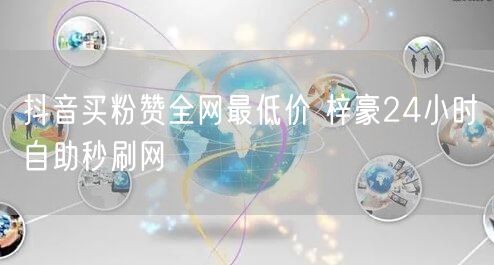 抖音买粉赞全网最低价 梓豪24小时自助秒刷网