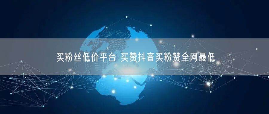 买粉丝低价平台 买赞抖音买粉赞全网最低