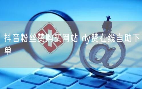 抖音粉丝赞购买网站 dy赞在线自助下单