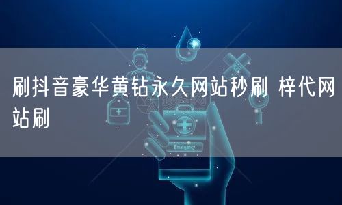 刷抖音豪华黄钻永久网站秒刷 梓代网站刷