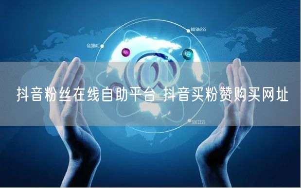 抖音粉丝在线自助平台 抖音买粉赞购买网址