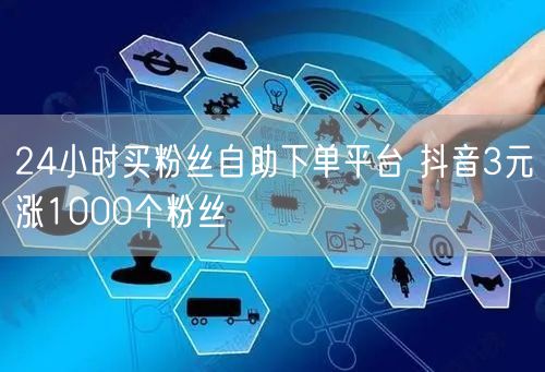 24小时买粉丝自助下单平台 抖音3元涨1000个粉丝