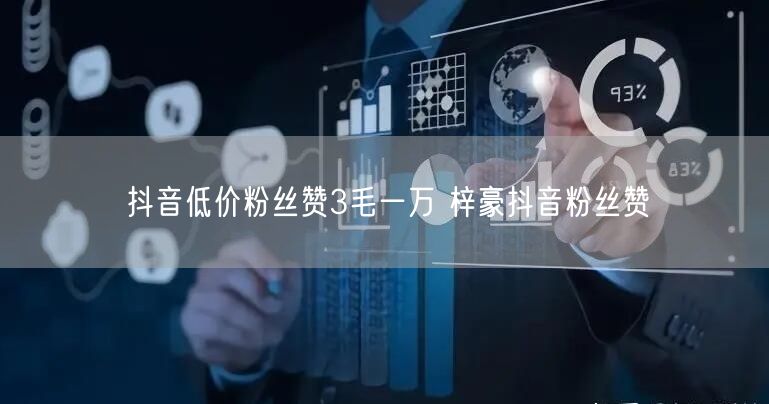 抖音低价粉丝赞3毛一万 梓豪抖音粉丝赞