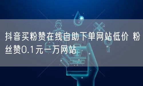 抖音买粉赞在线自助下单网站低价 粉丝赞0.1元一万网站