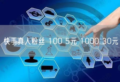 快手真人粉丝 100 5元 1000 30元