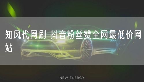 知风代网刷 抖音粉丝赞全网最低价网站