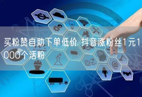 买粉赞自助下单低价 抖音涨粉丝1元1000个活粉