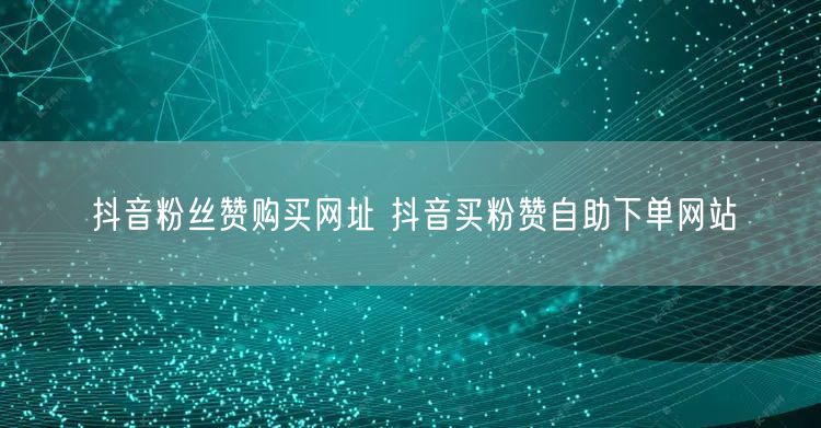 抖音粉丝赞购买网址 抖音买粉赞自助下单网站