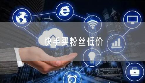 快手买粉丝低价
