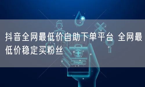 抖音全网最低价自助下单平台 全网最低价稳定买粉丝