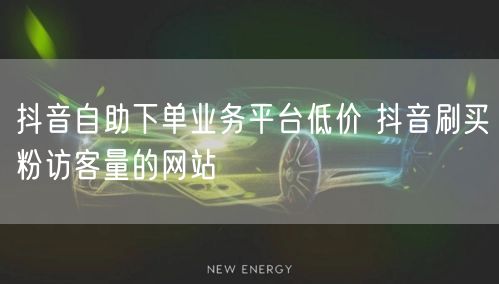 抖音自助下单业务平台低价 抖音刷买粉访客量的网站
